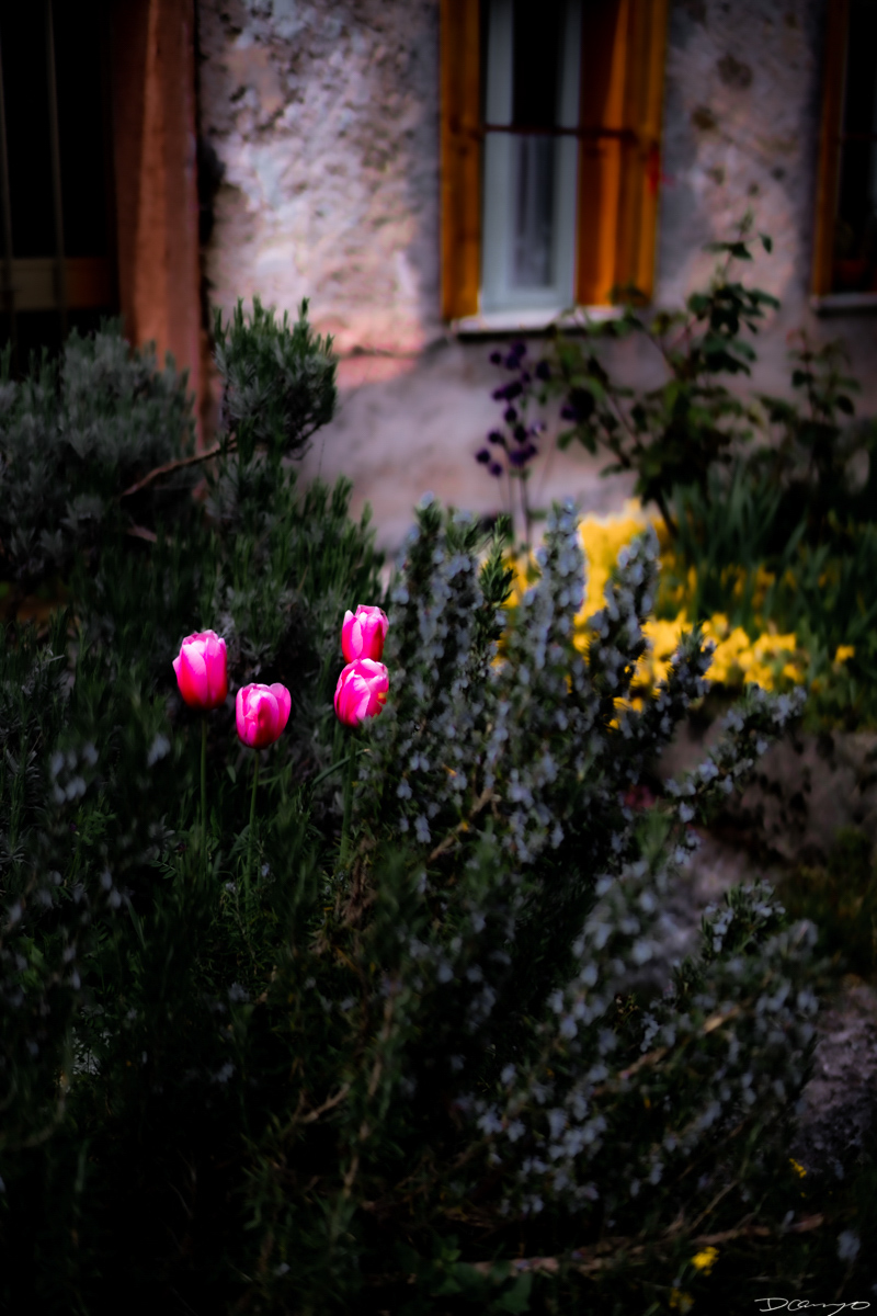 Photos from Rome, Venice, Florence, Tuscany, Manarola, Vernazza, Riomaggiore, Verona, Trento, and the Italian Alps in Spring of 2022.